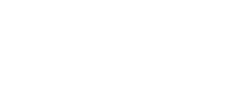 Hybrid Agency